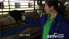 �����������������������Ѱ���