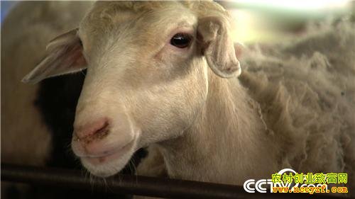 �����������������������Ѱ���