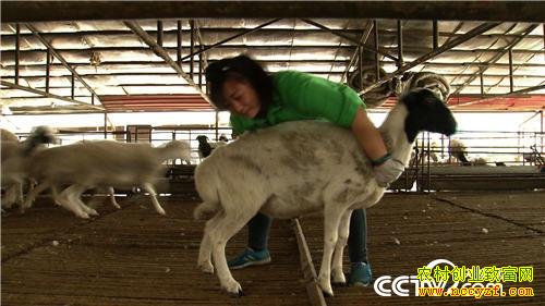 �����������������������Ѱ���