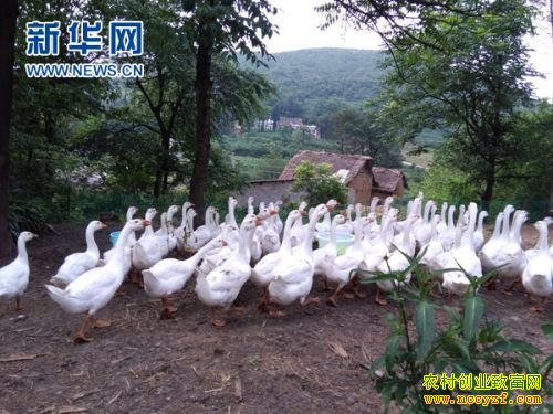 ����׬Ǯ��:����ǭ��ף�����������׶���׬6��Ԫ