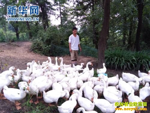 ����׬Ǯ��:����ǭ��ף�����������׶���׬6��Ԫ