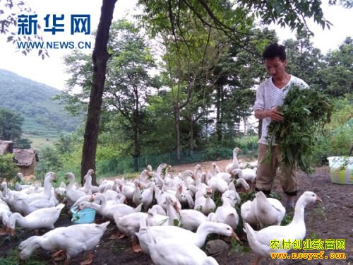 ����׬Ǯ��:����ǭ��ף�����������׶���׬6��Ԫ