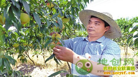 �㽭��Ū�����䣺Сˮ�����¸���