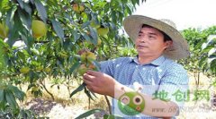 �㽭��Ҧ��������ֲˮ����ҵ�¸�