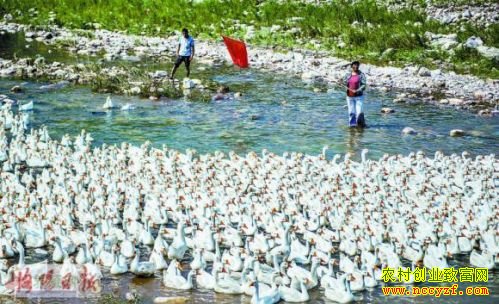 �����°�����֥�����¸�����15��