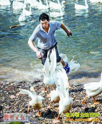 �����°�����֥�����¸�����15��