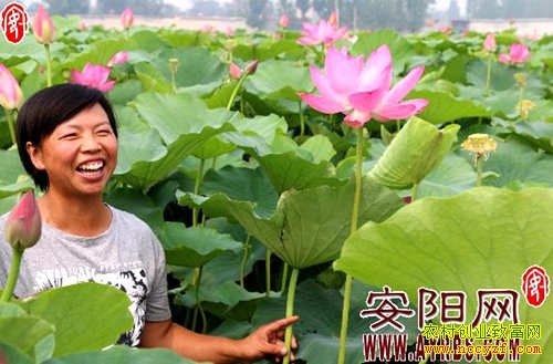 ���ϰ����߿�����ź��Ѽ������������ʮ��