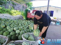 ������������������ֲ��������׬Ǯ���¸�