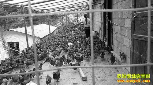 ������ˮ��ïʢ����ɢ���������¸���