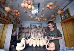 �ӱ���Ǵ޺�����ֲ�ӹ�������«�¸��е�