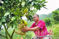 �㶫��Զ��־����ֲ�������ִ������������¸�