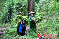 ����������ѧ����ҵ�ڼ����򷢲�