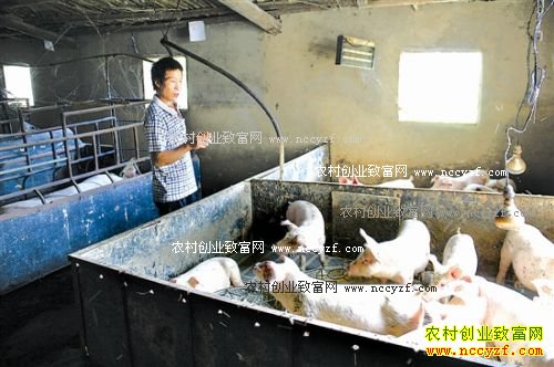 ��������Ͽ���������ؾ������������������¸�