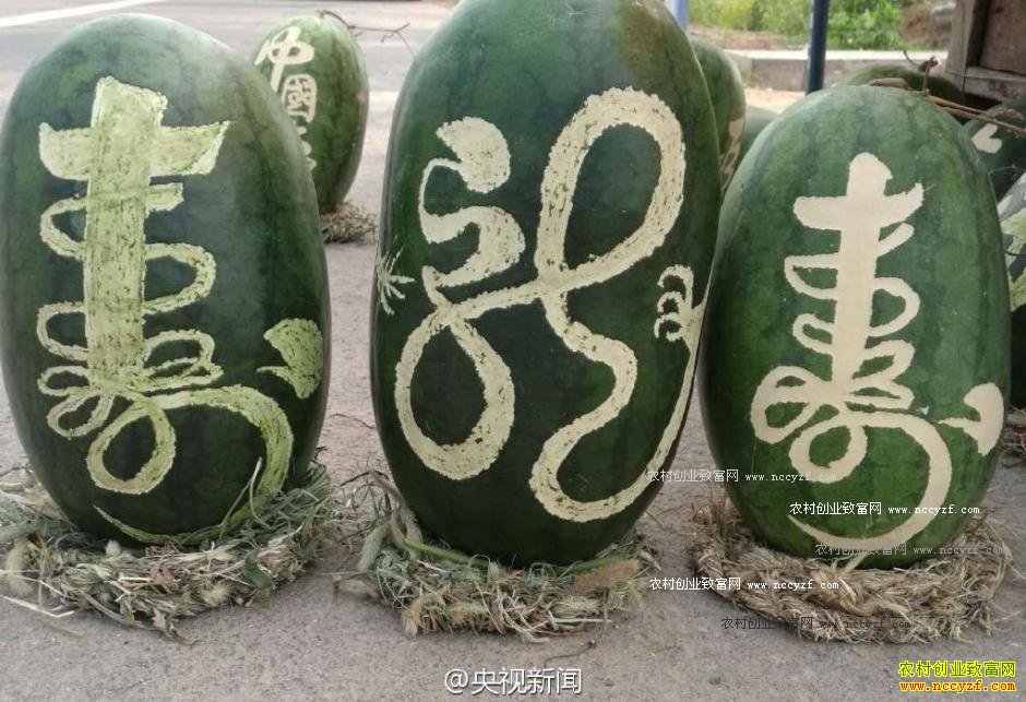 ����ۣ�ع�ũ������������д�鷨 11����6000��