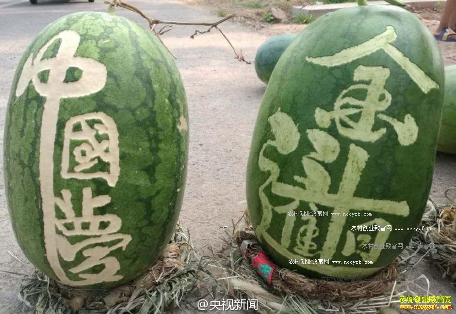 ����ۣ�ع�ũ������������д�鷨 11����6000��