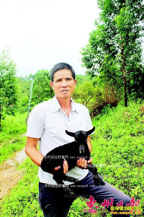 �㶫���ݻƻ������򹩲�Ӧ�� �ͻ�������