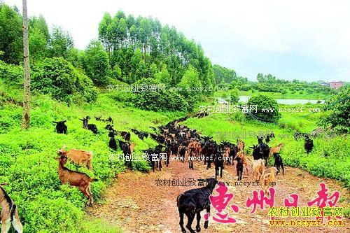 �㶫���ݻƻ������򹩲�Ӧ�� �ͻ�������