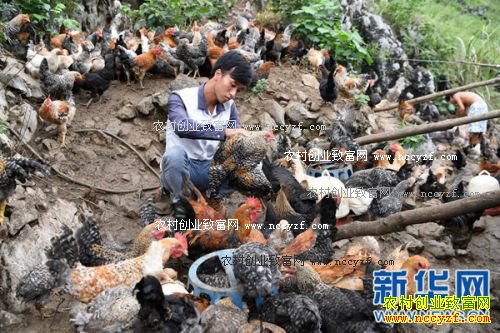 �����󻯴�֧����־ƽ��ֳ�߰�Ū����ũ��ƶ�¸�