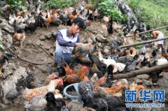 �����󻯴�֧����־ƽ��ֳ�߰�Ū����ũ��ƶ�¸�