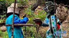 ����������������������ֳ��ҵ�¸���