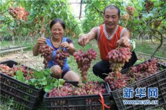 ���������������Զ��ȴ�ҵ����������10��Ԫ