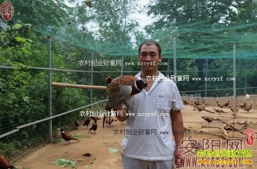 �������������ɽ����Ұ����֯�¸���