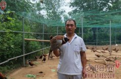 �������������ɽ����Ұ����֯�¸���