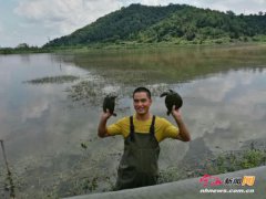 �㽭�����½����������߿�����������������̬���㡱