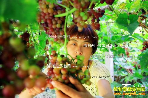 �½��п�ѷ�ض���ǿ����÷������ֲţ�����������¸�·