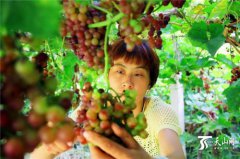 �½��п�ѷ�ض���ǿ����÷������ֲţ�����������¸�·