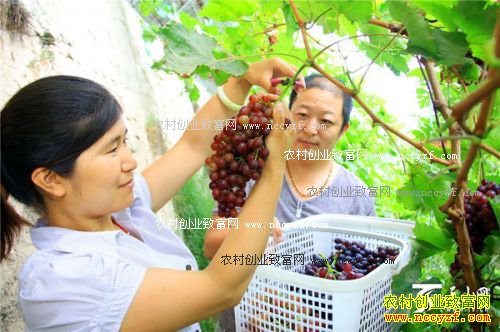 �½��п�ѷ�ض���ǿ����÷������ֲţ�����������¸�·