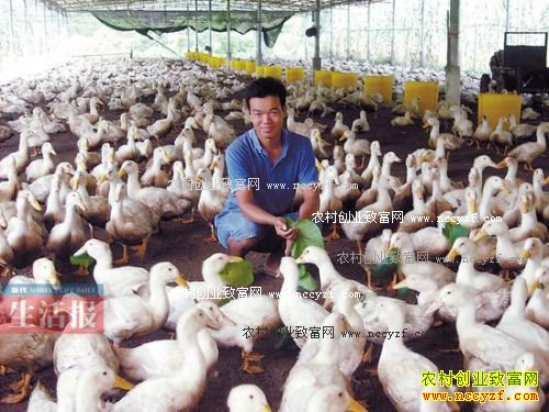 �������س����ջ��紴ҵ��Ѽ��׬ʮ��