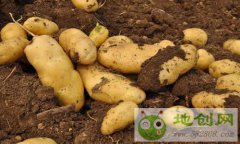 �����������ƴ�ͳ��������Ӫģʽ