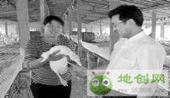 ɽ����ׯ��Ѽɩ���������������Ѽ28���ֻ