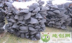 �����������պ�ΰ1000Ԫ��ҵ��ֲ��ľ�����ֵ900��