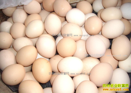 ����ᶼ���⼦������ƽ�ȼ۸��Խ�