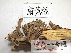 麻黄根4