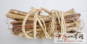 五指毛桃的功效与作用-用法及别名-五指毛桃图片