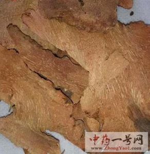 九牛力 九牛力