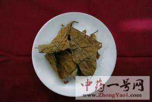 布渣叶的功效与作用-用法及别名-布渣叶图片