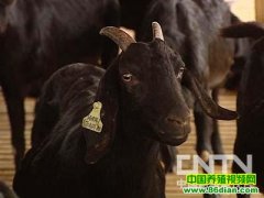 ��Ů����������֮��ĲƸ�(20120430)