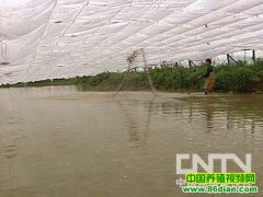 ��ˬ���70���Ժ�(20120507)