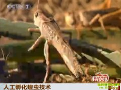 [�Ƽ�Է]�˹������ȳ漼����Ƶ