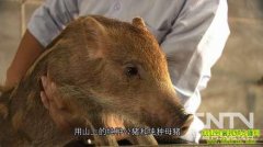 �׾ƿ��� Ұ��׬Ǯ(20121029)