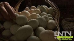 ���ΰ��Լ������վ�֮��(20121030)