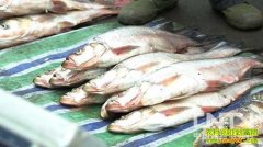 ��һ��Ƿ��Ƴ����ĲƸ�(20121106)