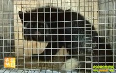 �����˹��ھ�����(20121114)