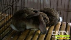 �Ϻ��������Ÿ�ĸ��ɽ֮��(20121114)