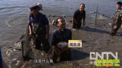 �������ͺ�׬Ǯ(20121115)