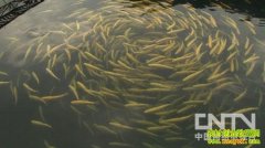 ����ˮ�����ĲƸ�����(20121116)